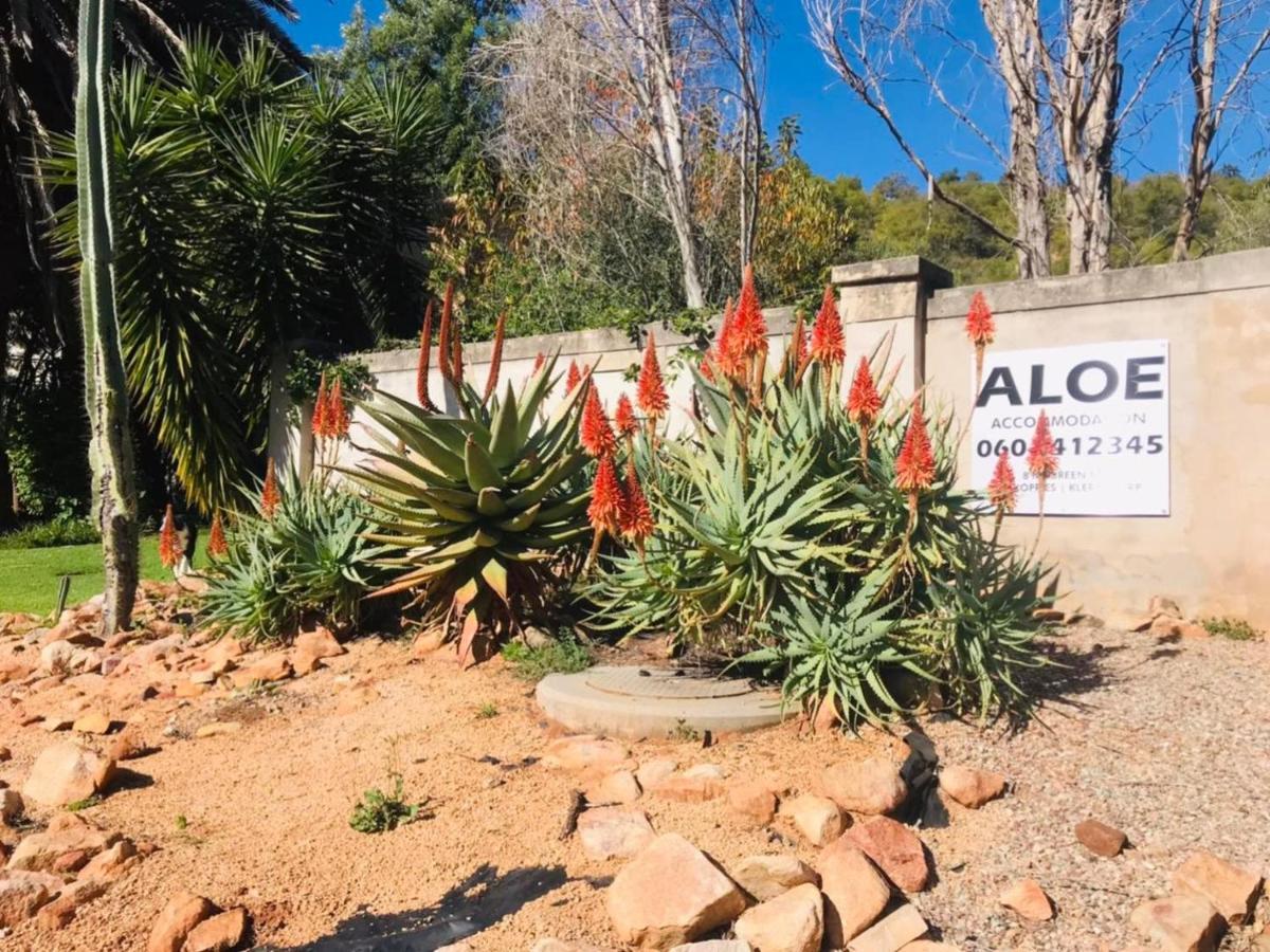 Aloe Guesthouse เคลิร์กสดอร์ป ภายนอก รูปภาพ