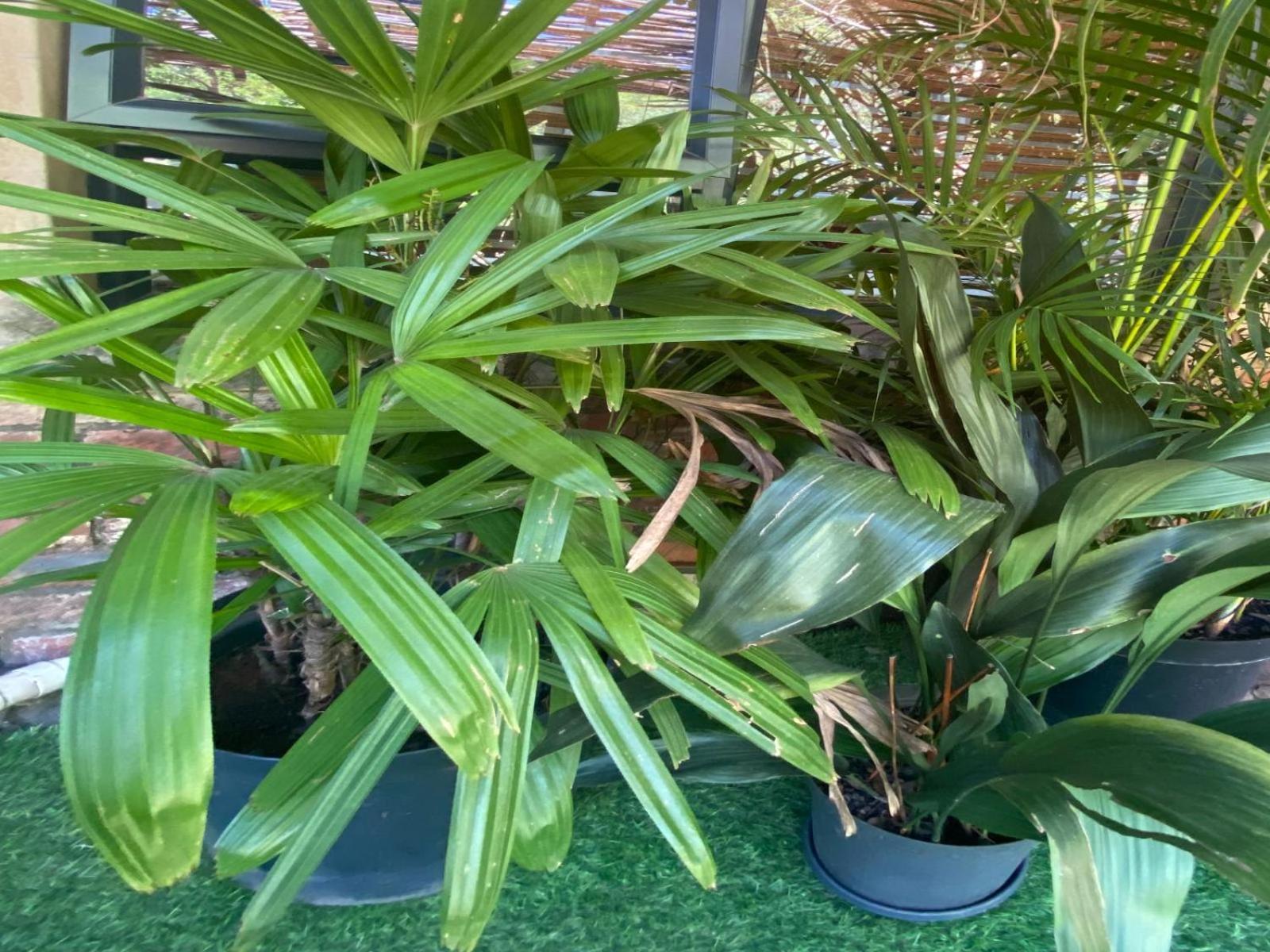 Aloe Guesthouse เคลิร์กสดอร์ป ห้อง รูปภาพ
